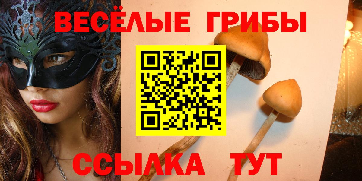 Амфетамин Северодвинск